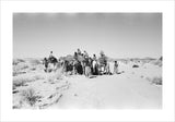 View of camels, ridden by ...