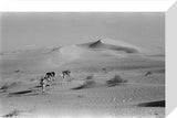 View of a Bedouin man ...