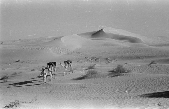 View of a Bedouin man ...