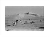 View of a Bedouin man ...