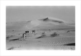 View of a Bedouin man ...