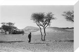 View of a man walking ...
