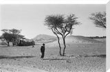 View of a man walking ...