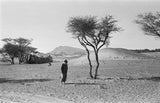 View of a man walking ...