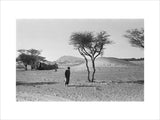 View of a man walking ...