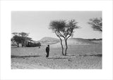 View of a man walking ...
