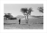 View of a man walking ...