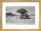 View of Wilfred Thesiger's party ...