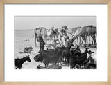 View of a Bedouin family ...