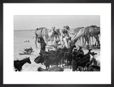 View of a Bedouin family ...