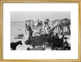 View of a Bedouin family ...