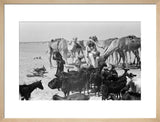 View of a Bedouin family ...