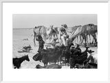 View of a Bedouin family ...