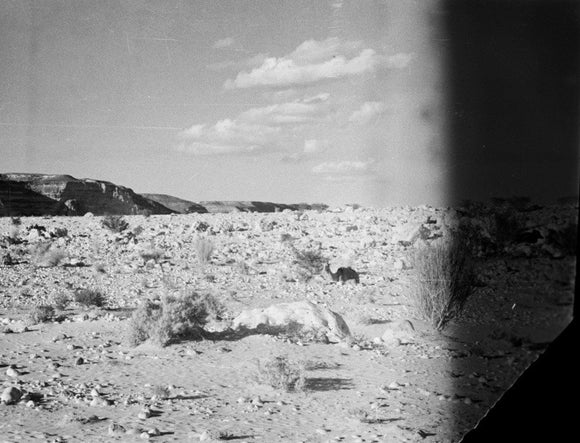 Landscape showing a dry, rocking ...