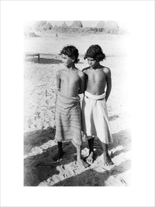 Portrait of two boys in ...
