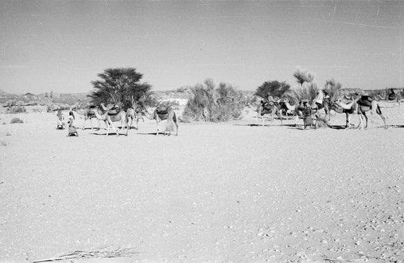 View of Wilfred Thesiger's travelling ...