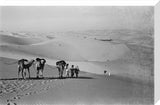 View of Wilfred Thesiger's travelling ...