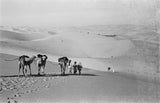 View of Wilfred Thesiger's travelling ...