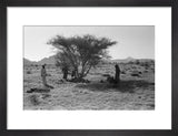 View of Wilfred Thesiger's travelling ...