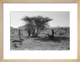 View of Wilfred Thesiger's travelling ...
