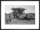 View of Wilfred Thesiger's travelling ...