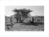 View of Wilfred Thesiger's travelling ...