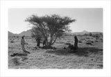 View of Wilfred Thesiger's travelling ...