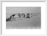 View of Wilfred Thesiger's Bedouin ...