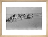 View of Wilfred Thesiger's Bedouin ...