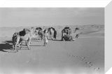 View of Wilfred Thesiger's Bedouin ...