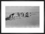 View of Wilfred Thesiger's Bedouin ...