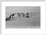 View of Wilfred Thesiger's Bedouin ...