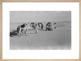 View of Wilfred Thesiger's Bedouin ...