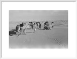 View of Wilfred Thesiger's Bedouin ...