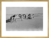 View of Wilfred Thesiger's Bedouin ...