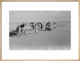 View of Wilfred Thesiger's Bedouin ...
