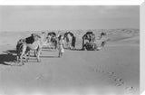 View of Wilfred Thesiger's Bedouin ...