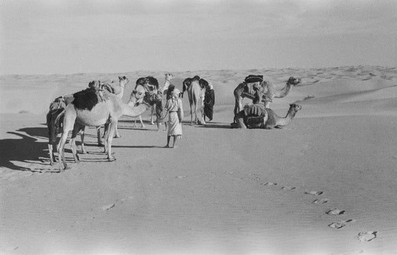View of Wilfred Thesiger's Bedouin ...