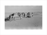 View of Wilfred Thesiger's Bedouin ...