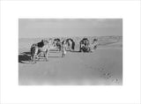 View of Wilfred Thesiger's Bedouin ...