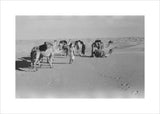 View of Wilfred Thesiger's Bedouin ...