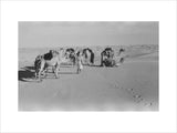View of Wilfred Thesiger's Bedouin ...