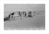 View of Wilfred Thesiger's Bedouin ...