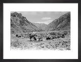 View of Wilfred Thesiger's travelling ...