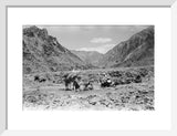 View of Wilfred Thesiger's travelling ...