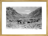 View of Wilfred Thesiger's travelling ...