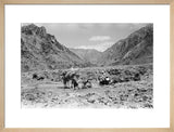 View of Wilfred Thesiger's travelling ...