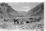View of Wilfred Thesiger's travelling ...