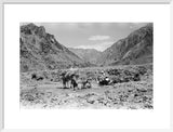 View of Wilfred Thesiger's travelling ...