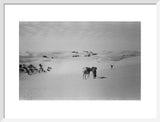 View of Wilfred Thesiger's party ...